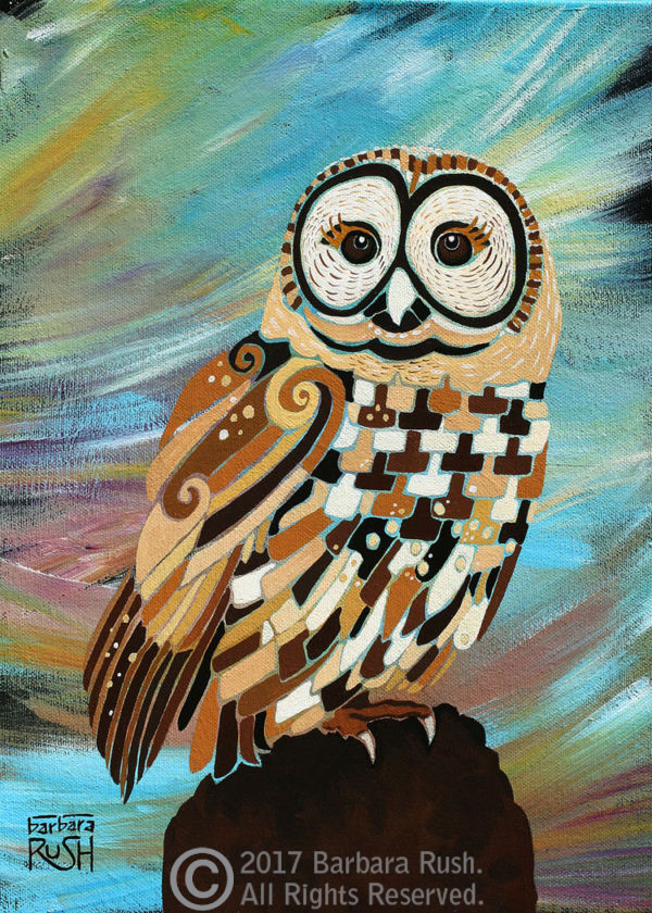 Barred Owl at Sunset by Barbara Rush